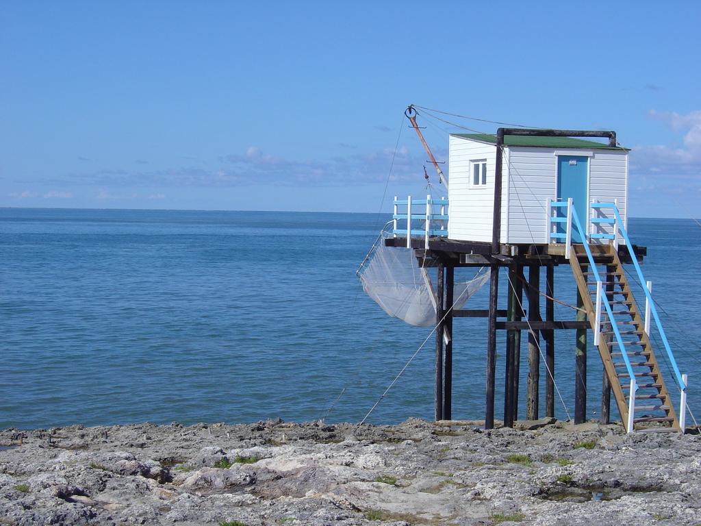Netmust Vacances Saint-Palais-sur-Mer Exteriör bild